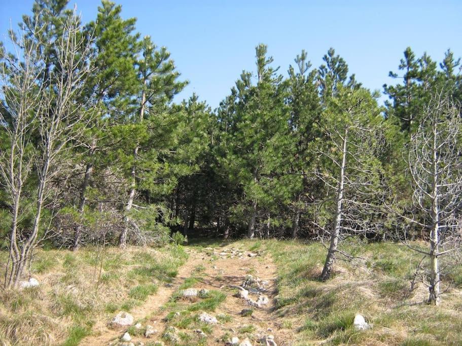 Cozy Rooms In Nature, Perfect For Relax Ilirska Bistrica Exteriör bild