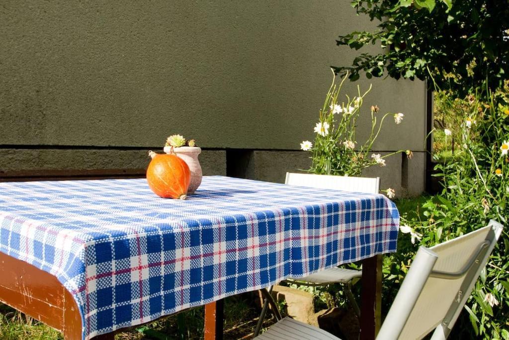 Cozy Rooms In Nature, Perfect For Relax Ilirska Bistrica Exteriör bild
