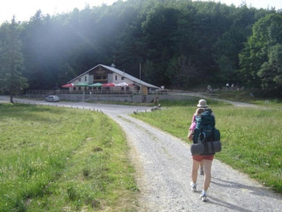 Cozy Rooms In Nature, Perfect For Relax Ilirska Bistrica Exteriör bild