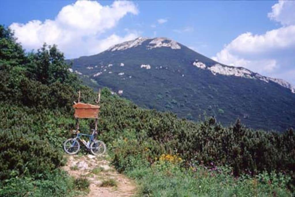 Cozy Rooms In Nature, Perfect For Relax Ilirska Bistrica Exteriör bild