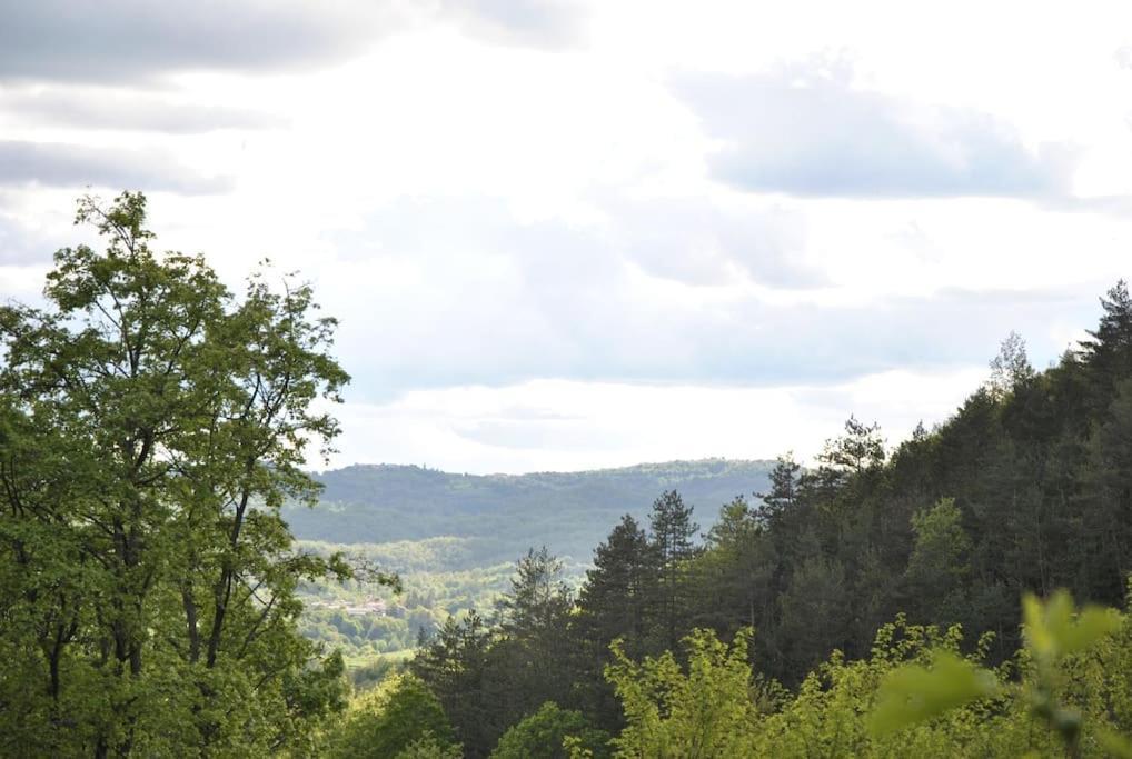 Cozy Rooms In Nature, Perfect For Relax Ilirska Bistrica Exteriör bild
